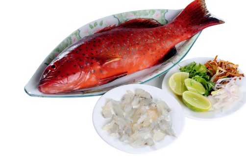 Grouper Fish (Sashimi)