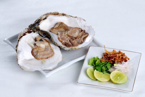 Oyster (Sashimi)